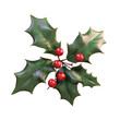 © Sona - Decorative holly leaves with red berries.
