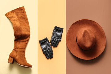 Wall Mural - Stylish female hat, leather gloves and shoe on color background