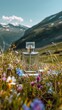 © Jojo - Transparent perfume bottle positioned in the center of a picturesque mountain landscape, with wildflowers and clear skies