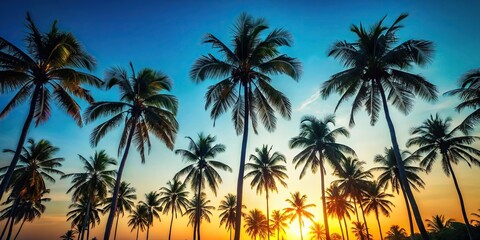 Canvas Print - Tropical trees silhouetted against clear skies , nature, palm tree, tropical, silhouette,backdrop, summer, sunrise, vacation
