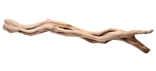 Wall Mural - Driftwood branch isolated on transparent background