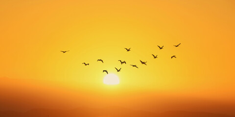 Wall Mural - Yellow sky on sunset or sunrise with flying birds panoramic view