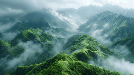 Wall Mural - Aerial view of misty green mountains, ideal for nature, travel, and adventure content