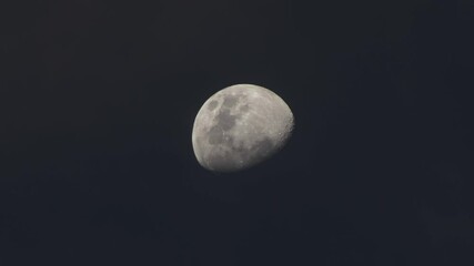 Wall Mural - Half moon looks large shot with a telephoto zoom camera