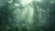 © WMSTUDIO - A foggy morning in a dense forest where mist envelops the trees creating a mysterious and ethereal atmosphere The soft light filters through the fog casting a diffused glow that adds to the sense of