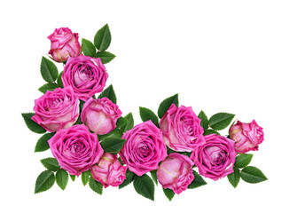 Wall Mural - Pink rose flowers in a corner floral arrangement isolated on white or transparent background