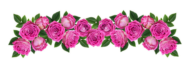 Wall Mural - pink rose flowers in a floral line arrangement isolated on white or transparent background