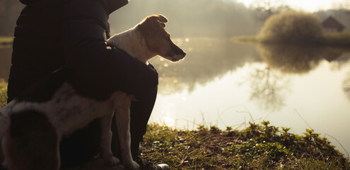 old fox terrier dog sitting together with a person on a lake shore in a forest in early spring at sunset