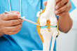 © manassanant - Knee osteoarthritis, Doctor showing model knee joint orthopedic.