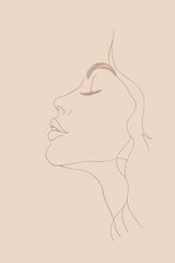 Wall Mural - vector illustration, minimal, boho, solid, plain, white, blush pink background, minimalist line art