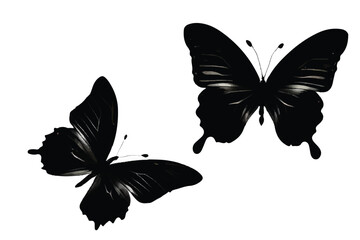 Butterflies silhouette. Flock of flying butterflies. Isolated black silhouette on white background. Vector illustration.  