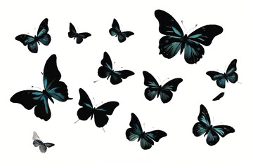 Butterflies silhouette. Flock of flying butterflies. Isolated black silhouette on white background. Vector illustration.  