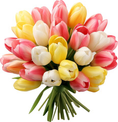 Wall Mural - colorful tulip bouquet isolated on white or transparent background,transparency 