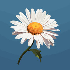 Wall Mural - Daisy flowers