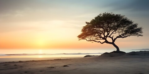 Wall Mural - Tranquil beach scenery with tree, sunset sky, and misty fog background. Concept Beach Scenery, Tranquil Setting, Sunset Sky, Misty Fog, Tree Silhouette