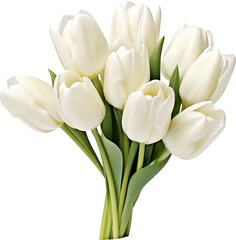 Wall Mural - white tulip flower bouquet isolated on white or transparent background,transparency 