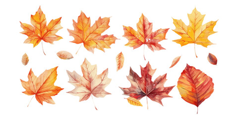 Wall Mural - A set of watercolor autumn leaves isolated on a white background