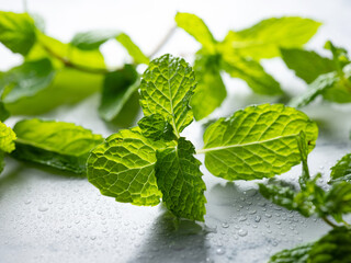 Wall Mural - Fresh mint leaves on plate