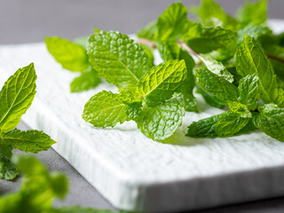 Canvas Print - Fresh mint leaves on plate