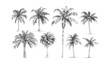 © LOVE VECTOR - Minimal style coconut tree and palm plant line drawing, side view. Set of vector illustration in stroke, graphics trees elements outline symbol for architecture and landscape design. Tropical, coconut