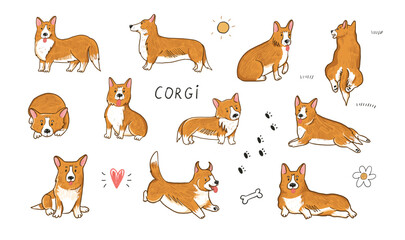 Canvas Print - Corgi dog vector illustrations set.