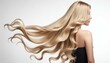 © abu - long and wavy women's hair in blonde tones, back view, hair advertising shoot, isolated white background