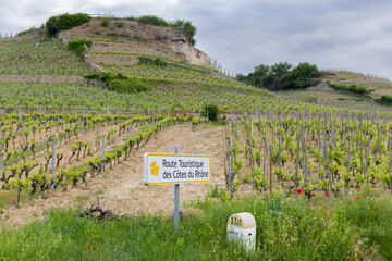 Sticker - Typical vineyard with Wine road (Route Touristique des Cotes du Rhone) near Tain l'Hermitage, Cotes du Rhone, France