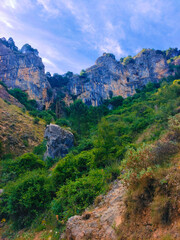 Canvas Print - Hillside in nature