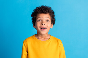 Canvas Print - Photo of nice little schoolboy look up empty space wear pullover isolated on blue color background