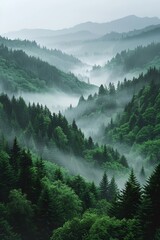 A serene misty green landscape presenting layered hills covered in dense forest under a soft sky, exuding peace and tranquility