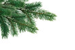 © Link Parker - Christmas tree branch on corner border, pine branch on transparent background