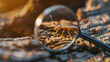 © l1gend - lens view of termite in wood, magnifying glass on top, close up shot