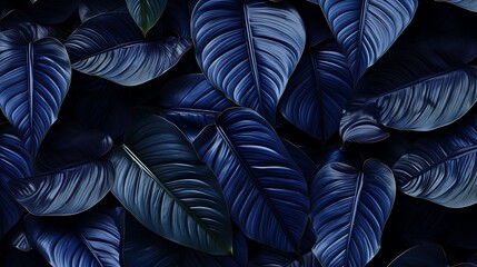 Wall Mural - dark blue tropical leaves with a velvety texture.