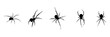 © Al - group spider silhouette illustration  background for a halloween day