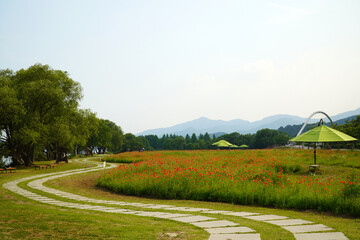 road in the countryside