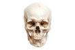 © Rattanathip - Realistic human skull isolated on a transparent background. ideal for Halloween, medical studies, and anatomy reference.