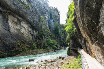 Wall Mural - Aare Gorge in Switzerland