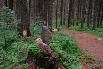 Canvas Print - marker of stone in green forest, natural abstract background. designation symbol of correct road. Beautiful atmosphere wood landscape. spring summer season. relaxation walk concept