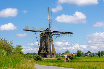 Wall Mural - Spring landscape view with beautiful traditional windmill under blue sky, Dutch agriculture in countryside with corn or maize field along the Vecht river, Nigtevecht, Province of Utrecht, Netherlands.