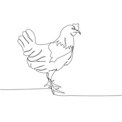 Wall Mural - chicken, poultry, rooster one line art. Continuous line drawing of farm, nature, agriculture, farm animals, rural life, ranch.