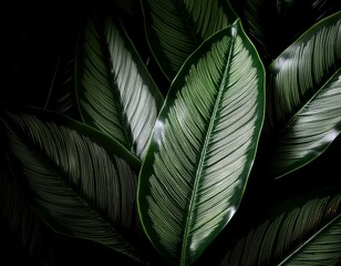 Green nature