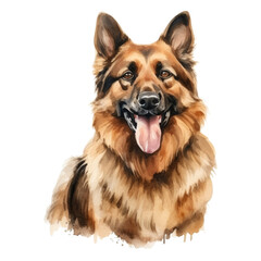 Wall Mural - german shepherd dog watercolor isolated on transparent background cutout