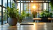 © Barosanu - A laptop and green plant sit on a stylish wooden desk in a modern office with large windows, sunlight streaming in, and lush greenery visible outside.