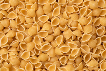 Canvas Print - Uncooked shell pasta full frame as background close up