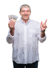 Wall Mural - Handsome senior man holding bunch of money over isolated background very happy pointing with hand and finger to the side