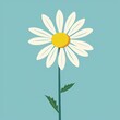 © Антон Сальников - Spring Daisy rose. Fresh and blooming elements. Flat design. Isolated on a blue background. A single flower. Everyday blooming concept. Camomile icon. Happy Valentine's Day. Card. Fresh and blooming