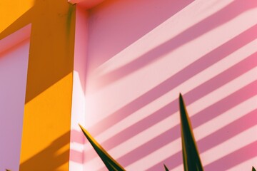 Aufkleber - A wall with a pink and orange color scheme and a plant with green leaves. The plant casts a shadow on the wall, creating a sense of depth and contrast