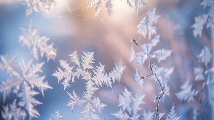 Macro shot of frost patterns on a windowpane