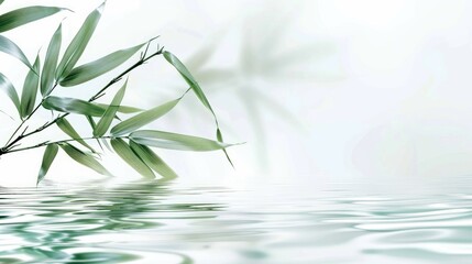 Wall Mural - Spa banner with green bamboo leaf on white water wave ideal for travel or cosmetics