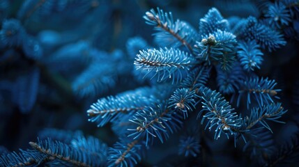 Wall Mural - Blue Christmas Pine